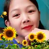 580842725264pham