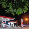 srdualapan28