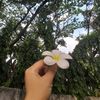 mocacinno_117