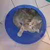 sosi_cat