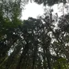 jdjapdtm