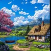 nguyencolour