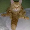 pink.billi0n