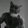 lyokhafadeeva