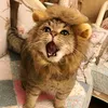 meocontrontim