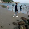 ninhka42