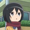 _mikasa.akm