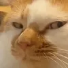 _bbkim___