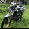 mas.tiger2000