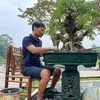 kientrucsanvuonhungphat
