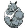 rhino702