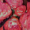 natiya_088