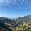 ayaelhaya