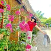 duongcam1782011