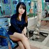 dwie_collection