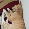 nana_230523