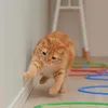 dearlittlefriends_nuts