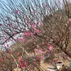 nguyenthinga550
