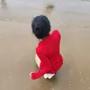 teerak_ta