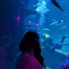 alicialou17_