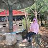 calon_apayahh