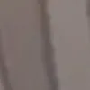 chaneii_444