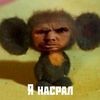 grisha23.0