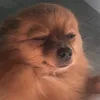 ninni08lo