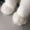 delightnap