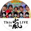 yu2010a