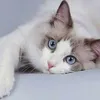 lovenyna80