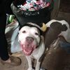 crackhead_pennywise