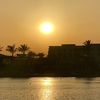 faridaa.darwish