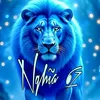 nghia761311