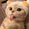 shshbsshsb
