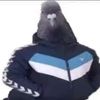 user06ns7ntk97