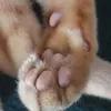 mweokthandartf