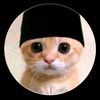 Ijon