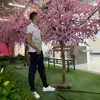 nguyenlenn2