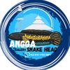 anggasnakehead01