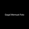 rayap_tempur