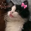 marvintirados