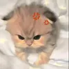 shunnichaniu2