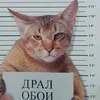 maxim_pakuiuuuu