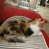 anamaria456895
