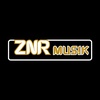 zainur_r22