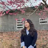 nhu_phi_phi