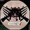 soarinwolf18