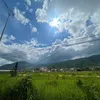 nguyenxuantri98