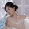 lethoailinh